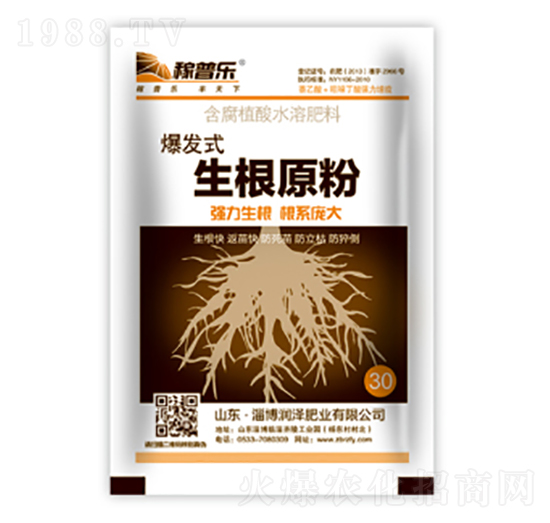 ���l(f��)ʽ����ԭ��-���՘�-���ɷʘI(y��)