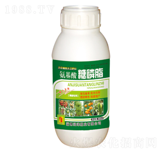 ƿ�b����������֬-��(r��n)�ɷʘI(y��)