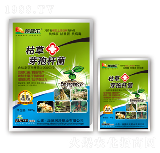 �ݲ�ѿ�ߗU��-���՘�(l��)-��(r��n)�ɷʘI(y��)