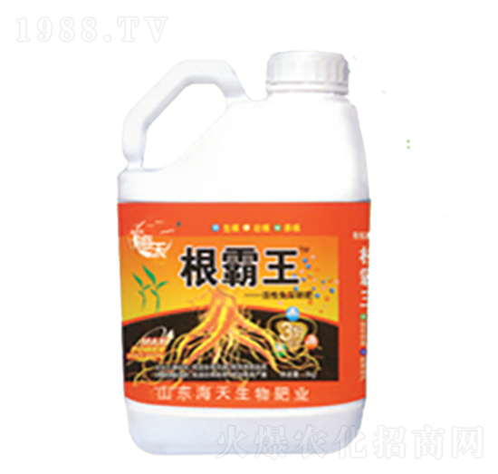 5���������-��������