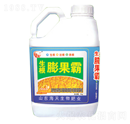 5�������������-��������