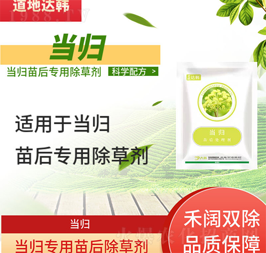 當(dāng)歸除草劑-當(dāng)歸苗后-當(dāng)歸專用-大韓