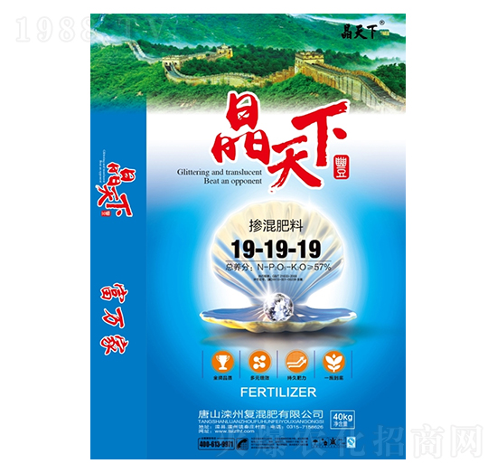 �������19-19-19-������-����