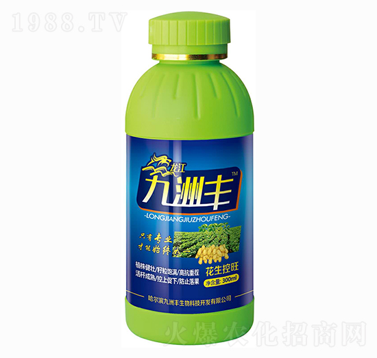 �����߮a������-�����S