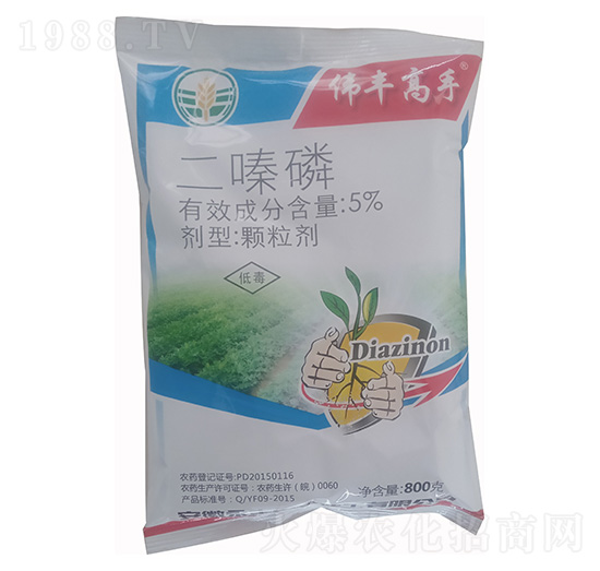 5%����� ���S���� ���S