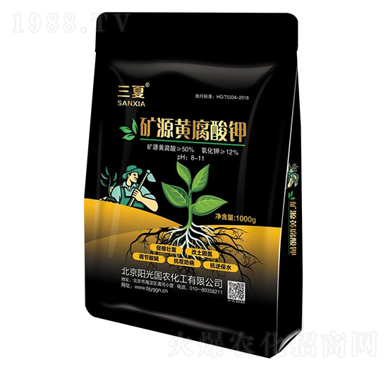 �VԴ�S�����-����-ꖹ���r