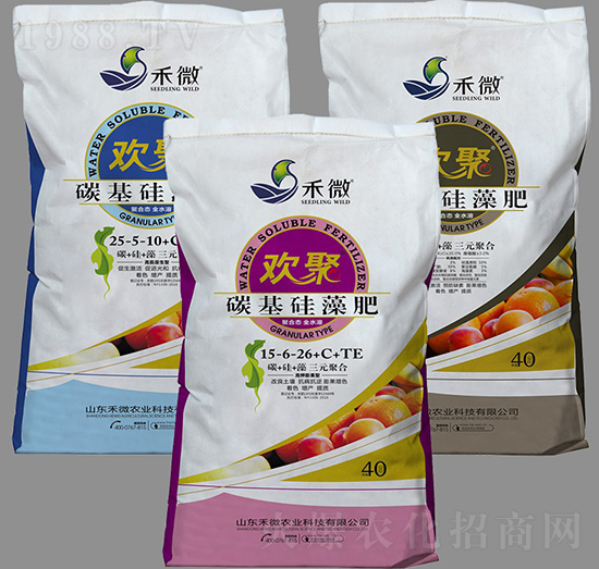 �g��̼�������-��΢