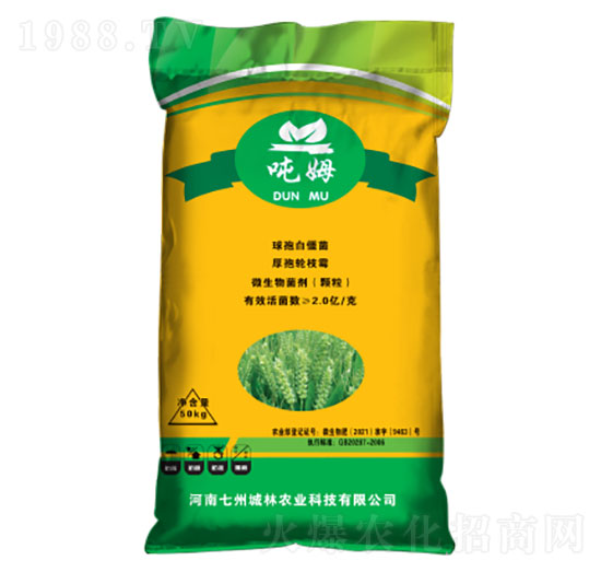 �����͹��ܷ�-��ķ