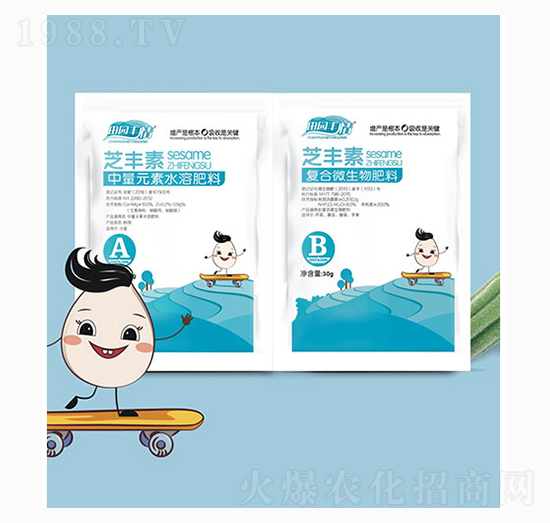 ֥�S��-ͨ������