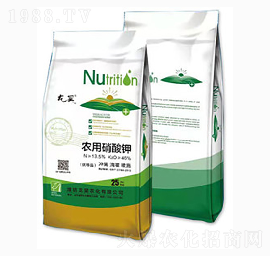 �����-��껷ʘI(y��)