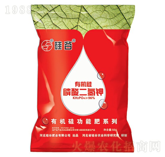 �ЙC����������-��Ȼ���