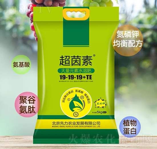 ����Ԫ��ˮ�ܷ�19-19-19+TE-������-��j����