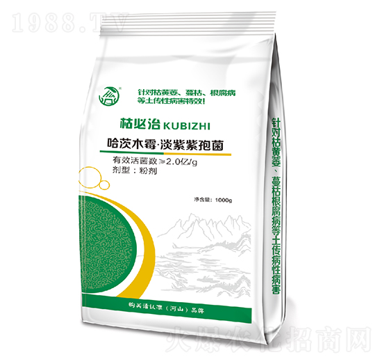 ���/��(x��)����������-�ݱ���-��ʢ��ɽ