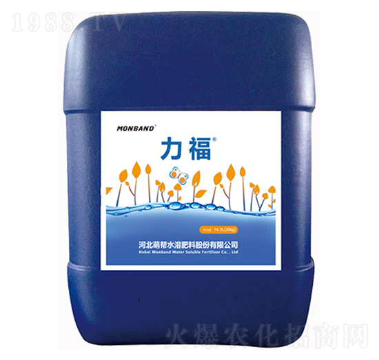 ����-�Ȏ�