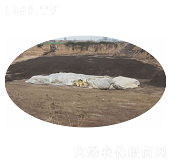 �l(f��)�ʹ��⌣(zhu��n)�÷�-���r(n��ng)�ʘI(y��)