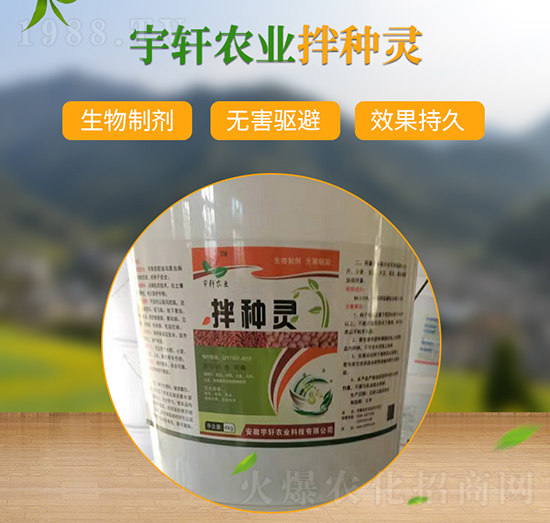 ��N�`-��܎�r(n��ng)�I(y��)