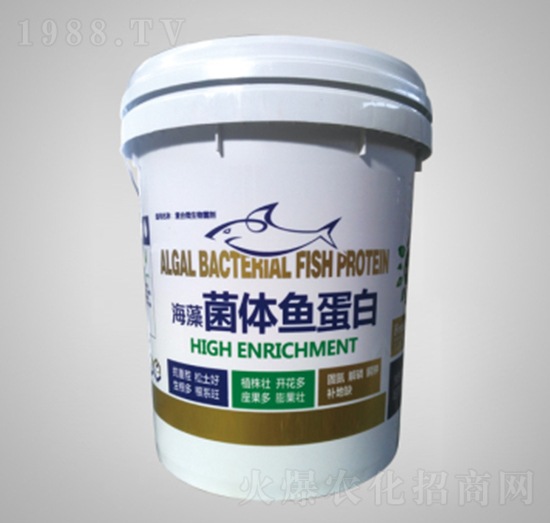 ������w�~����-���r(n��ng)�r(n��ng)�I(y��)