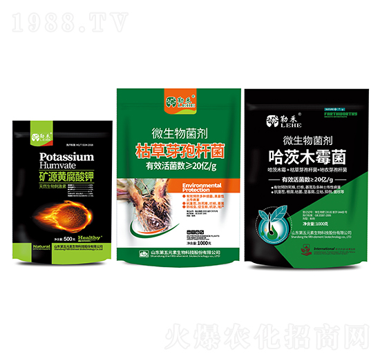 �����B(y��ng)���ײ�-�պ�-����Ԫ��