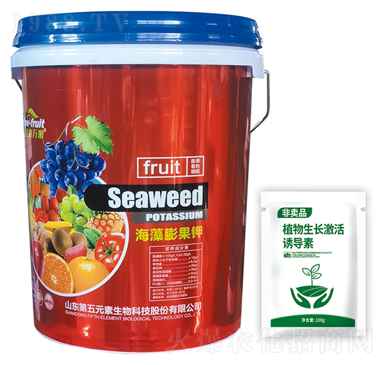 ��������-����Ԫ��