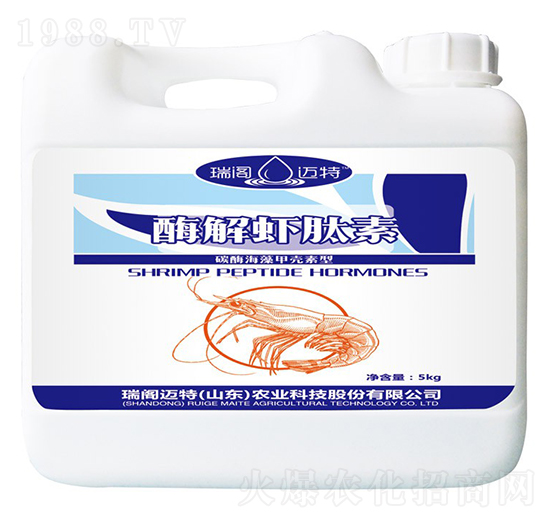 ø���r����-���w�~��