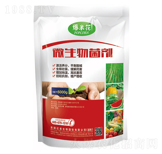 ΢�������-���׻�-�|������