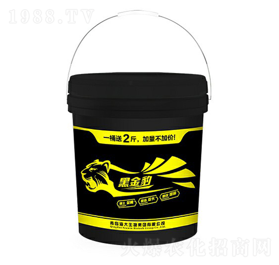 �ڽ�-��������