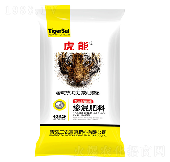 �������22-12-10-����-���r����