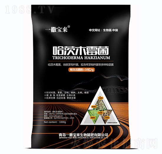 ����ľù��-һ������(l��i)