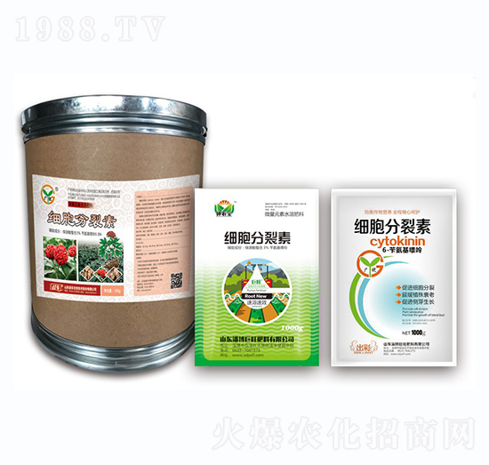 ��(x��)��������-��(zh��n)܇