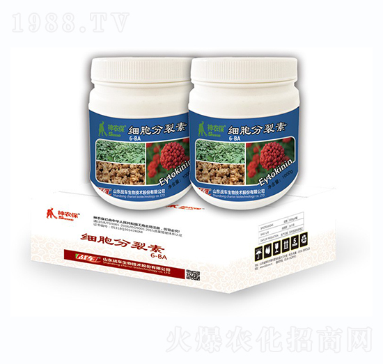 ��(x��)�������ؽM��-��(zh��n)܇