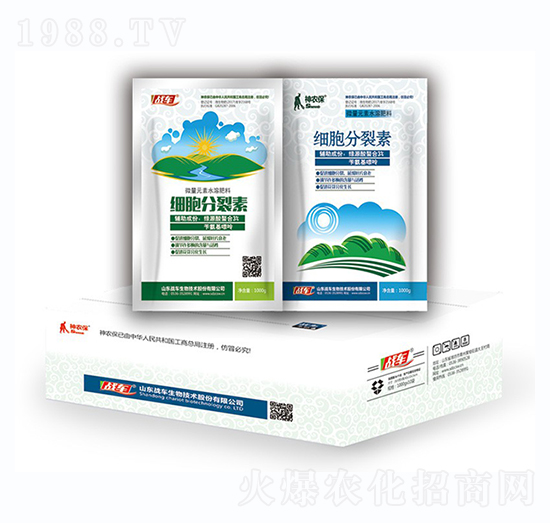 ��(x��)�������أ��У�-��(zh��n)܇(ch��)