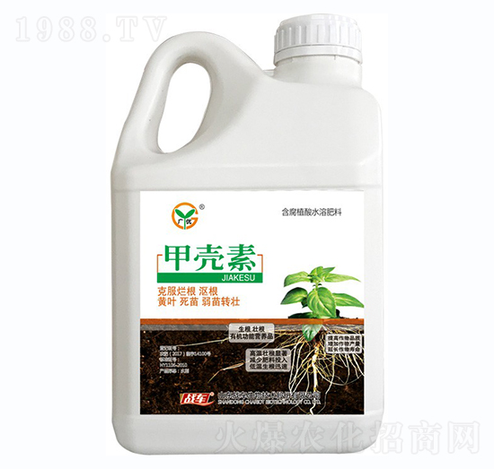 �ך���-��(zh��n)܇(ch��)