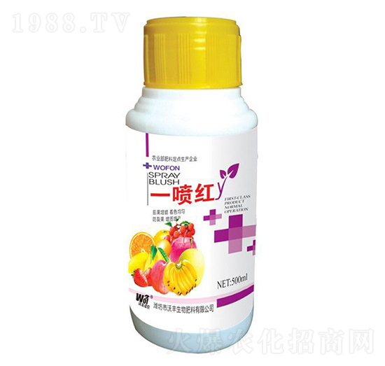 һ���t-���S���r-���S����