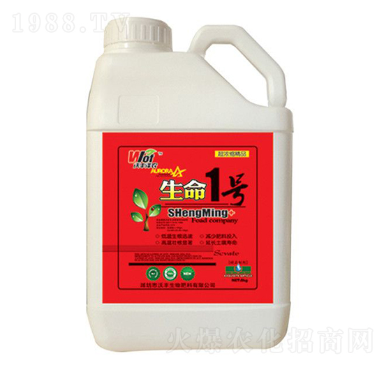 ����1̖-���S���r-���S����