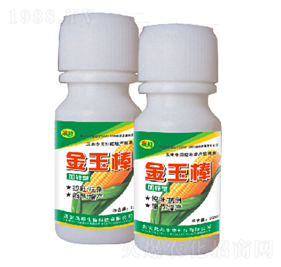 �����-�ɰ�����