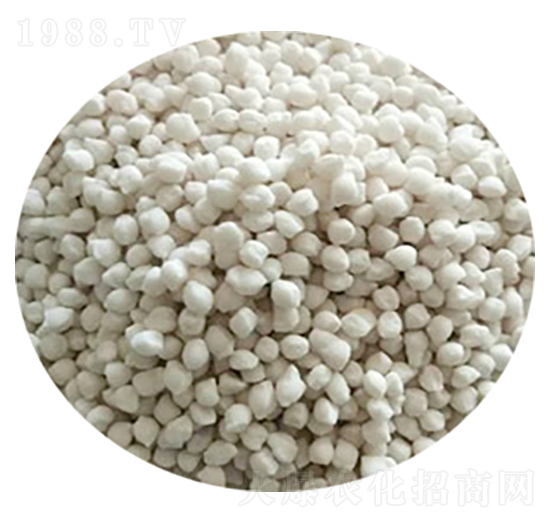 �����@-˼�˻���