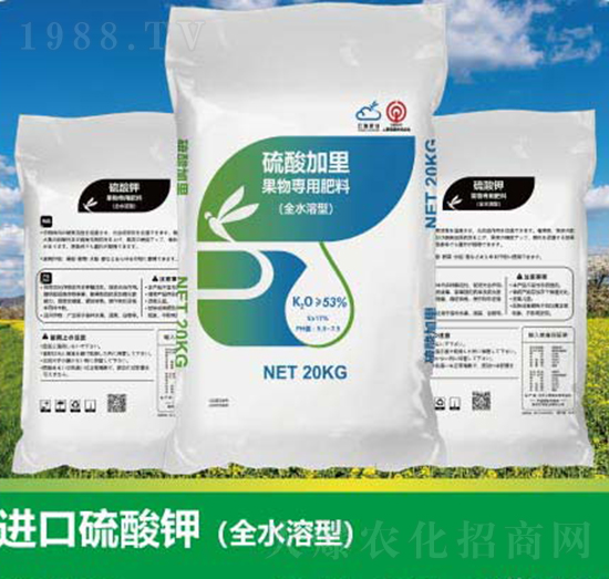 �M(j��n)������⛣�ȫˮ���ͣ�-����ʘI(y��)