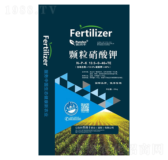 �w�������-�՝��S