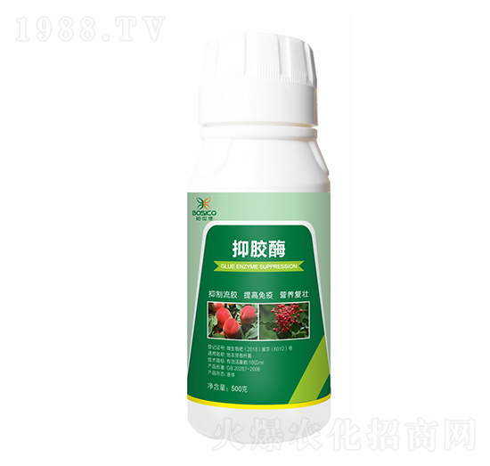 ���zø-�h��