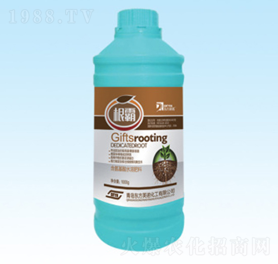 ����-�|��Ӣ�Z