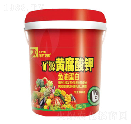 �VԴ�S�����-�|��Ӣ�Z