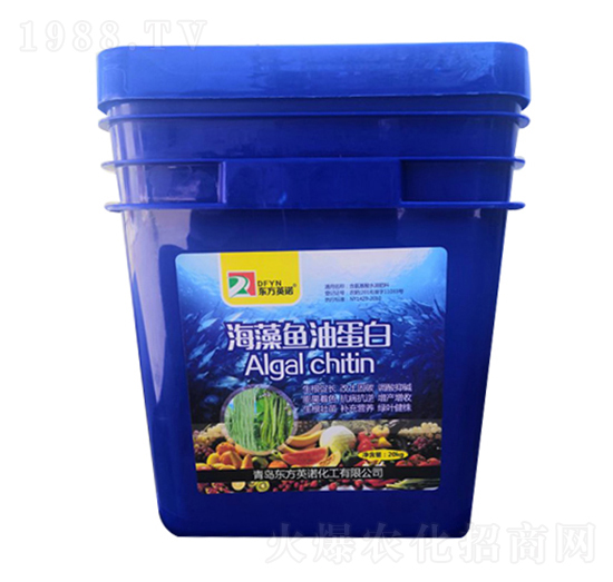 �����~(y��)�͵��כ_ʩ����-�|��Ӣ�Z