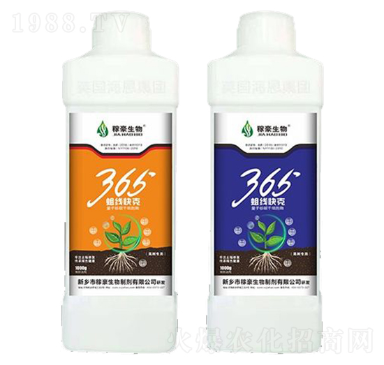 365������ˣ�ƿ��-�ں�����