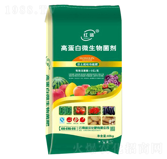 �ߵ���΢�������-����