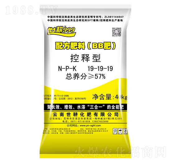 ������䷽����19-19-19-����