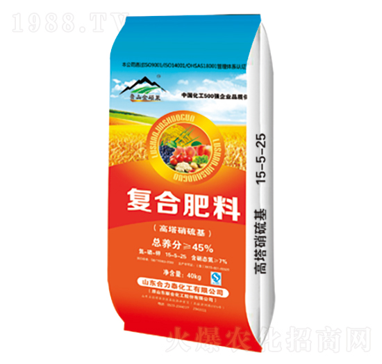 ����������ͺϷ�-����̩