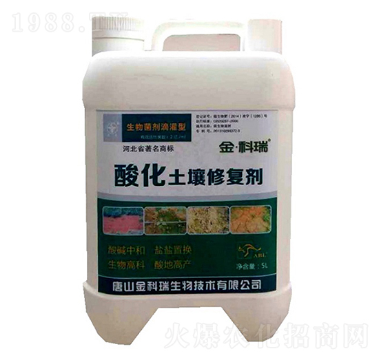 �ữ�����ޏ�(f��)��-�����