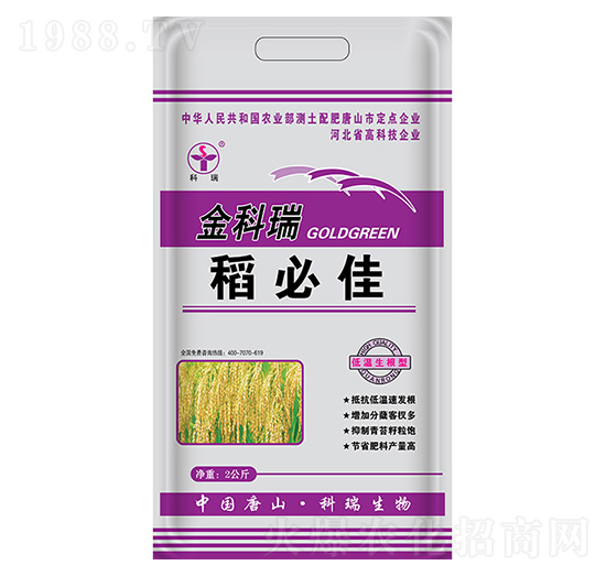 ���ؼ�-�����