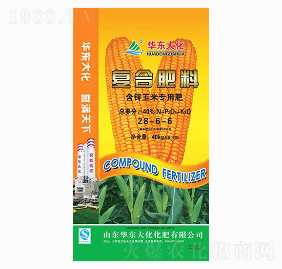 ���\���׌��ÏͺϷ�28-6-6-�A�|��