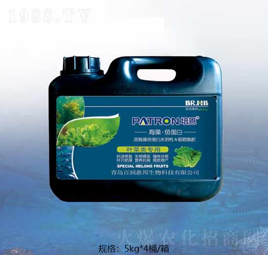 �~����ٺ����~(y��)����-�ٝ�(r��n)�ݰ�